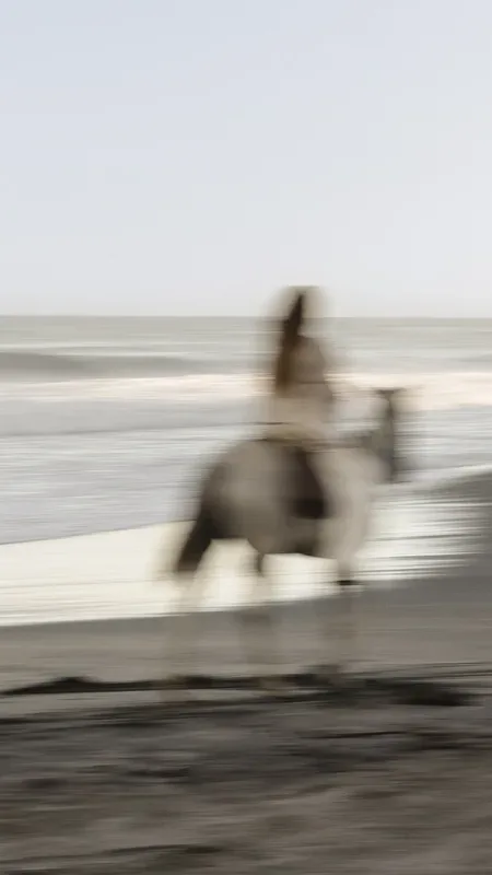 Rider on horseback moving along the shoreline — Explore stream of The Voyage Within