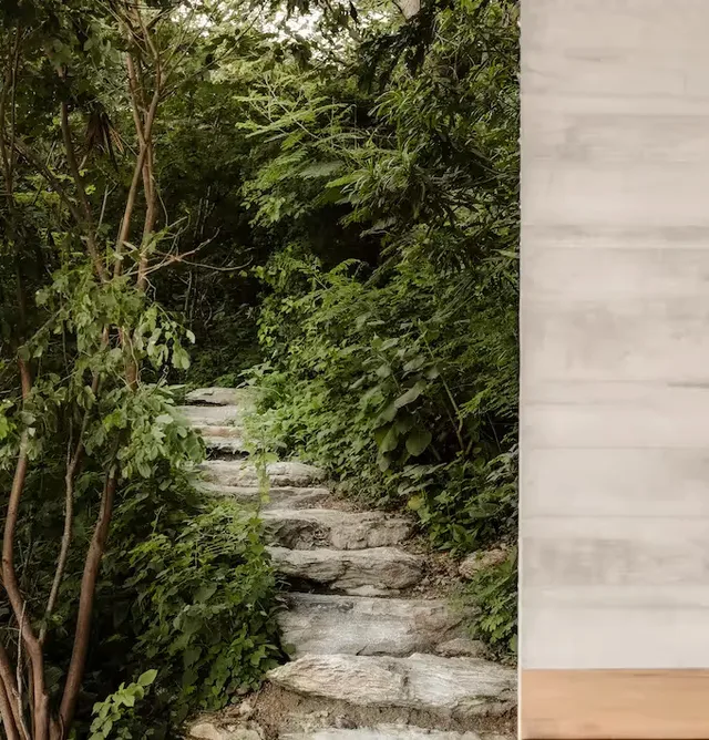 Stone slab pathway through tropical vegetation at La Valise Mazunte