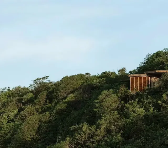 Wooden structure of La Valise Mazunte emerging from the forest canopy under a blue sky